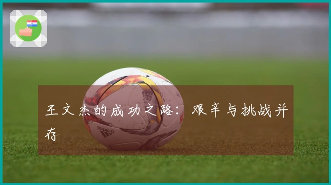 王文杰的成功之路：艰辛与挑战并存