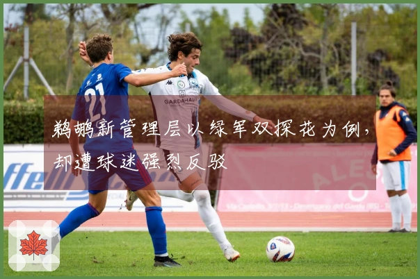 鹈鹕新管理层以绿军双探花为例，却遭球迷强烈反驳